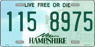 NH license plate 1158975