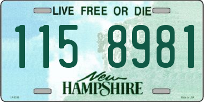 NH license plate 1158981