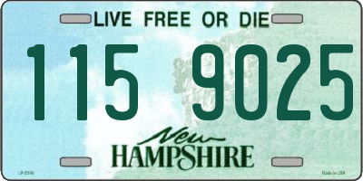 NH license plate 1159025