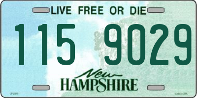 NH license plate 1159029