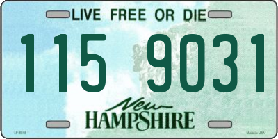NH license plate 1159031
