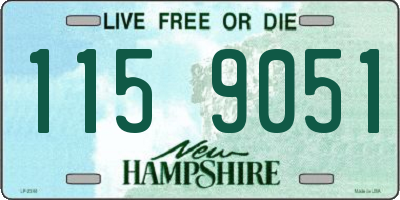 NH license plate 1159051