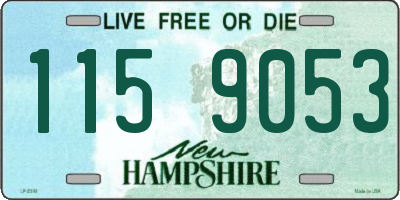 NH license plate 1159053