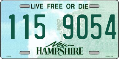NH license plate 1159054