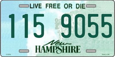 NH license plate 1159055