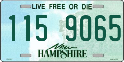 NH license plate 1159065
