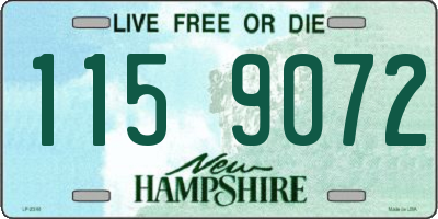 NH license plate 1159072