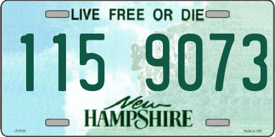 NH license plate 1159073