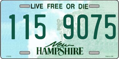NH license plate 1159075