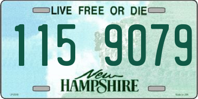 NH license plate 1159079