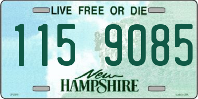 NH license plate 1159085