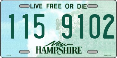 NH license plate 1159102