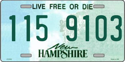 NH license plate 1159103