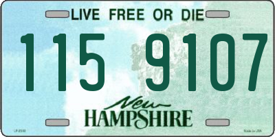 NH license plate 1159107