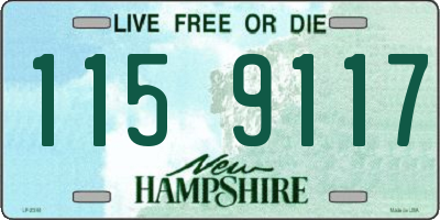 NH license plate 1159117