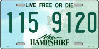 NH license plate 1159120