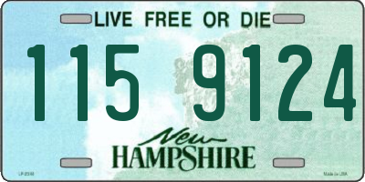 NH license plate 1159124