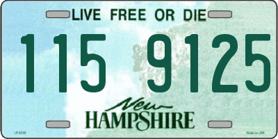 NH license plate 1159125