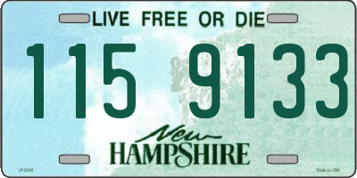 NH license plate 1159133
