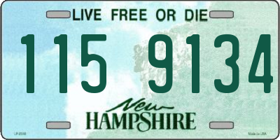 NH license plate 1159134