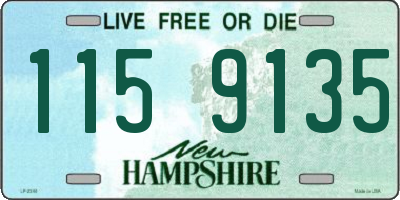 NH license plate 1159135