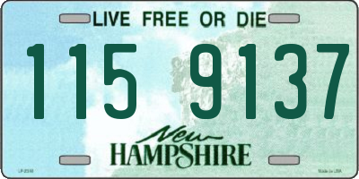NH license plate 1159137