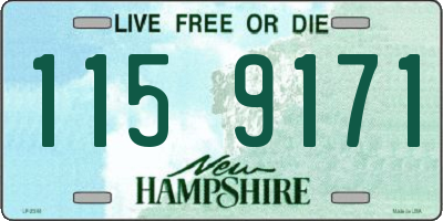 NH license plate 1159171
