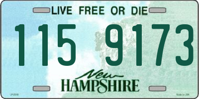 NH license plate 1159173