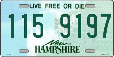 NH license plate 1159197