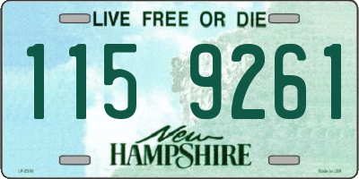 NH license plate 1159261