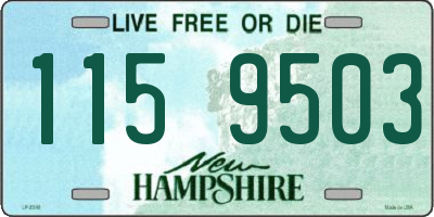 NH license plate 1159503