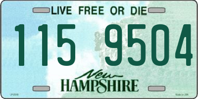 NH license plate 1159504