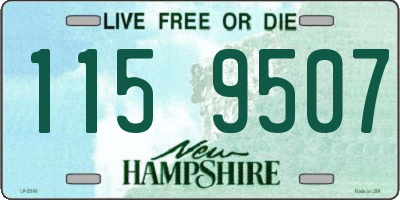 NH license plate 1159507