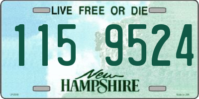 NH license plate 1159524