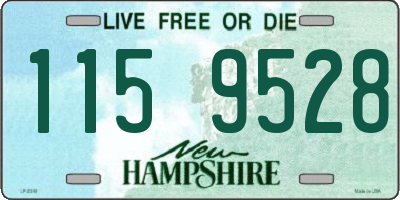 NH license plate 1159528