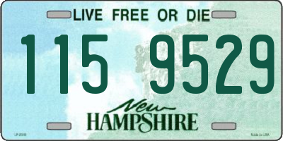 NH license plate 1159529