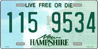 NH license plate 1159534