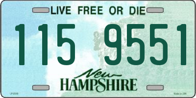 NH license plate 1159551
