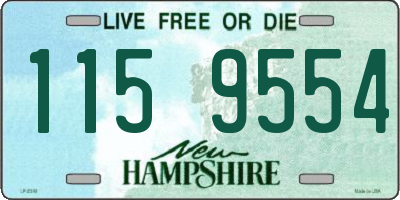NH license plate 1159554