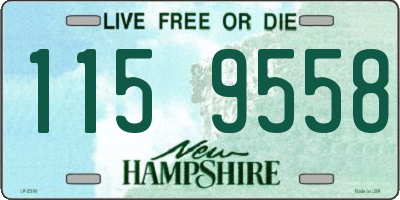 NH license plate 1159558