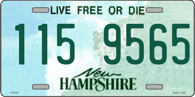 NH license plate 1159565