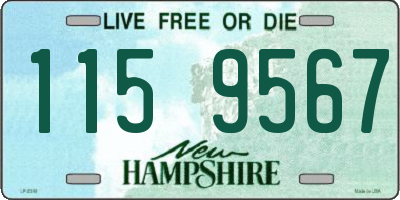 NH license plate 1159567