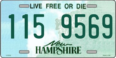 NH license plate 1159569