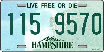 NH license plate 1159570