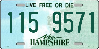 NH license plate 1159571