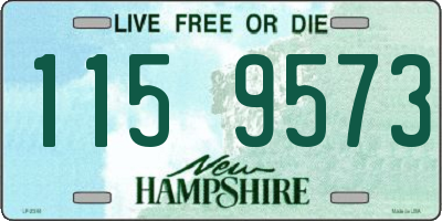NH license plate 1159573