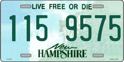 NH license plate 1159575
