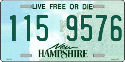 NH license plate 1159576