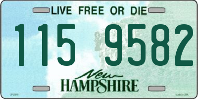 NH license plate 1159582