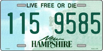 NH license plate 1159585